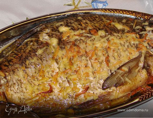 Золотая рыбка Золотая рыбка