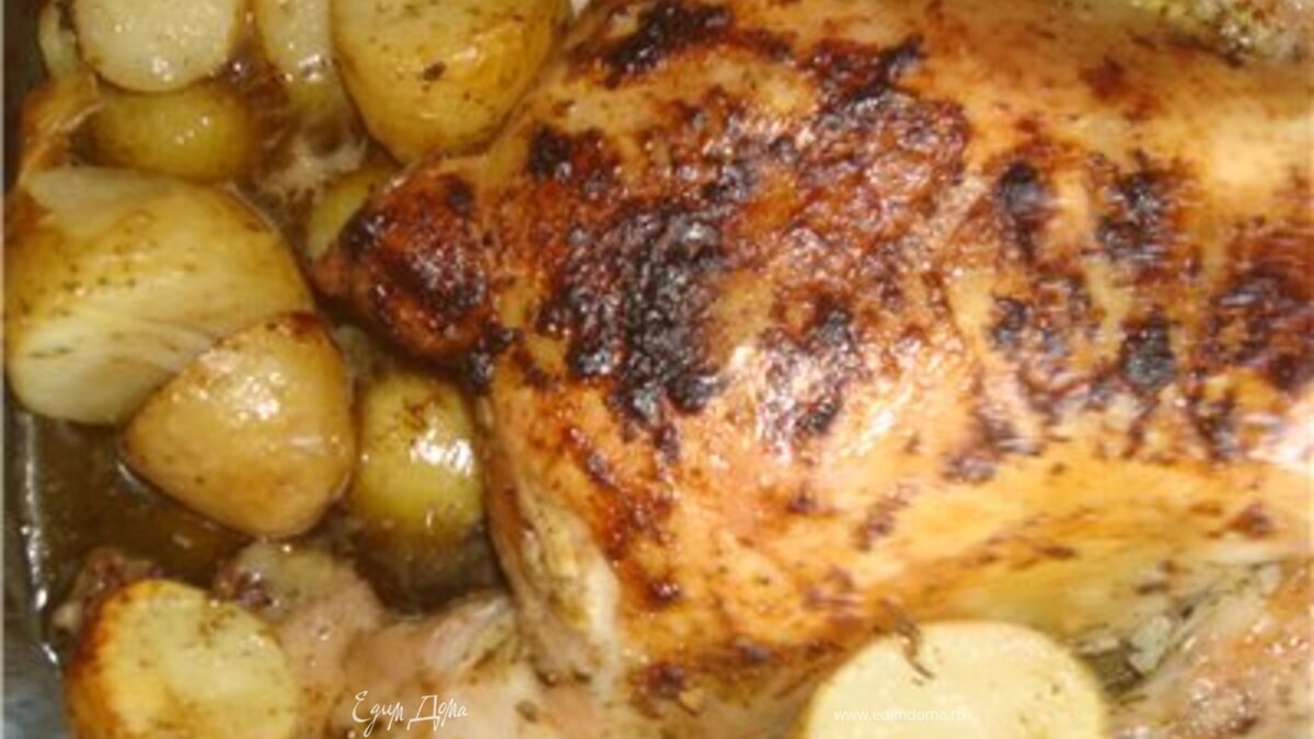 Кура в травах с картофаном