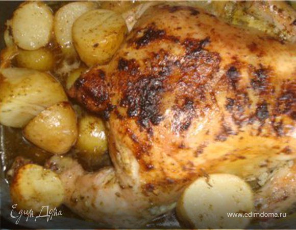 Кура в травах с картофаном Кура в травах с картофаном