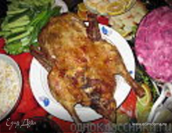 Утка новогодняя Утка новогодняя