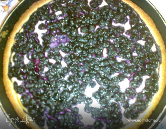 Творожный пирог с голубикой