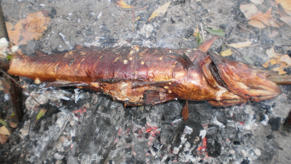 Судак на палке