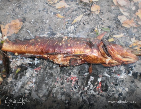 Судак на палке Судак на палке