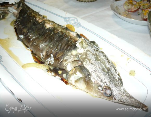 Стерлядь под соусом берблан Стерлядь под соусом берблан