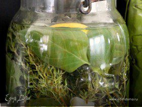 Фото рецепта