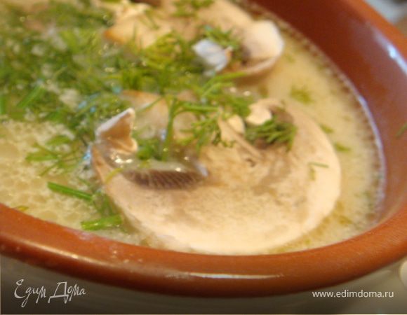 Суп "Грибное чудо" Суп "Грибное чудо"