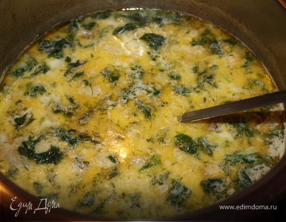 Суп из морского языка Суп из морского языка