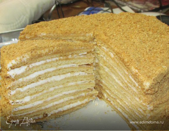 Опять Рыжик :) Опять Рыжик :)