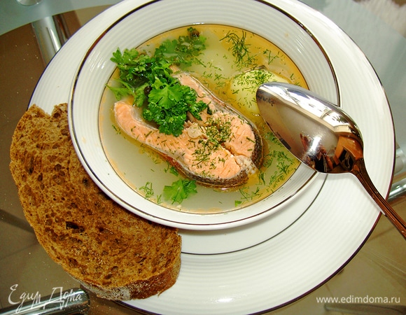 Уха рассольная (калья) Уха рассольная (калья)