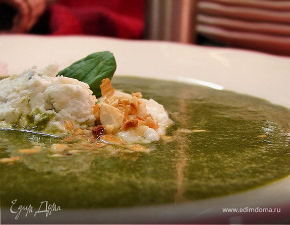 Зеленый крем-суп с клецками из творога и сыра с плесенью Зеленый крем-суп с клецками из творога и сыра с плесенью