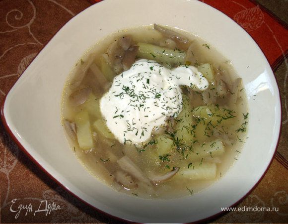 Грибница Грибница