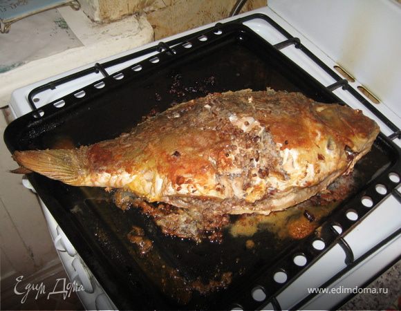 Фаршированный карп Фаршированный карп