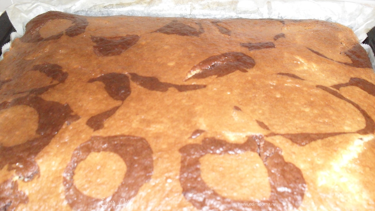 Классическая зебра.