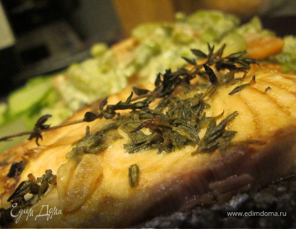 Семга с лаймом и чабрецом Семга с лаймом и чабрецом