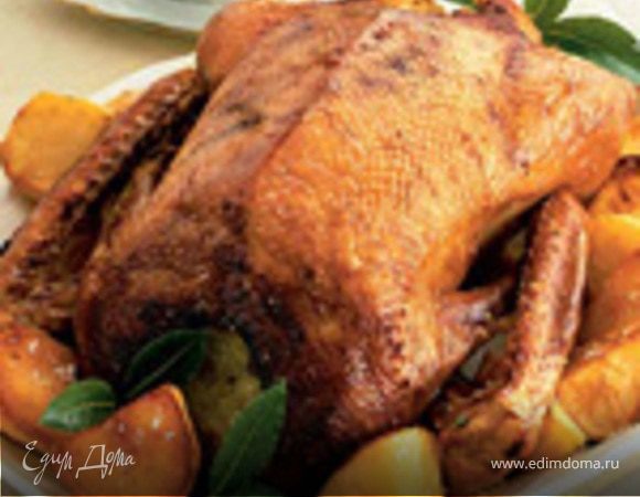 Гусь "пальчики оближешь" Гусь "пальчики оближешь"