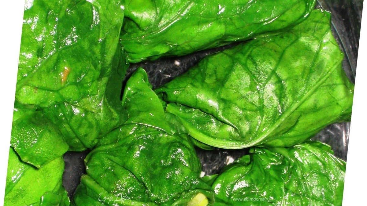 Шпинат радостный