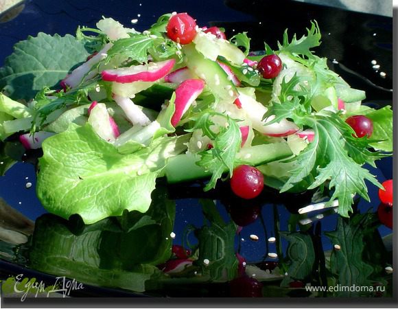 Салат "Весенняя свежесть"