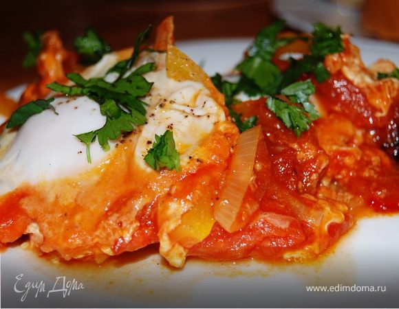 Шакшука. Мой вариант