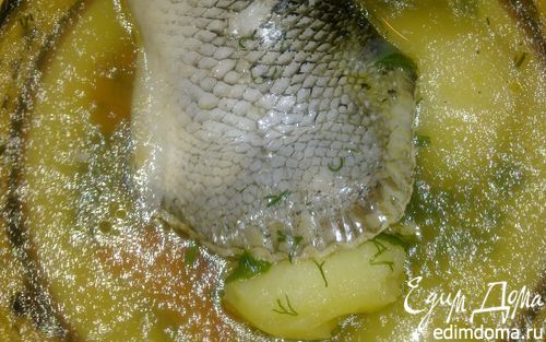 Рецепт Быстрый рыбный обед(уха из хвостов лосося)