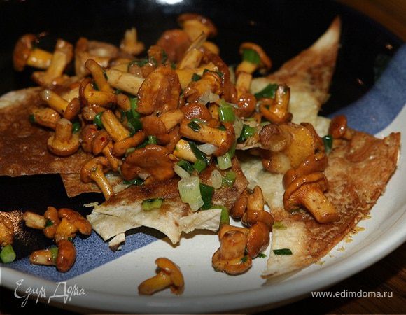 Грибы с пармезаном и зеленым луком на чипсах из лаваша Грибы с пармезаном и зеленым луком на чипсах из лаваша