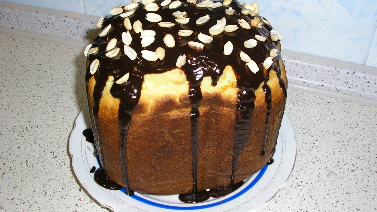 Пирог творожный с курагой