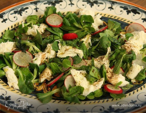 Весенний салат с редиской, моцареллой и мятой Весенний салат с редиской, моцареллой и мятой