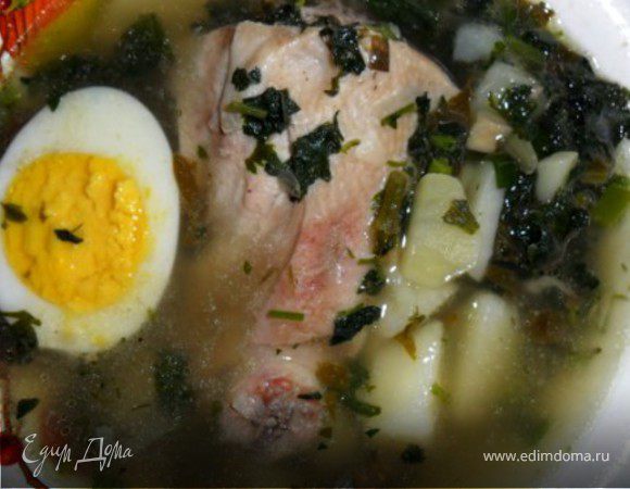 Щи из крапивы