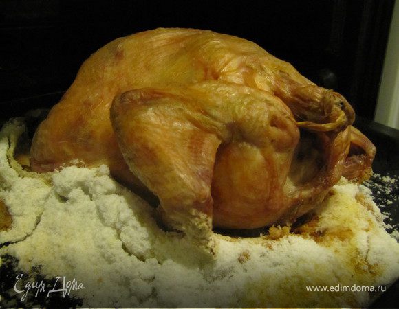 Курица Курица