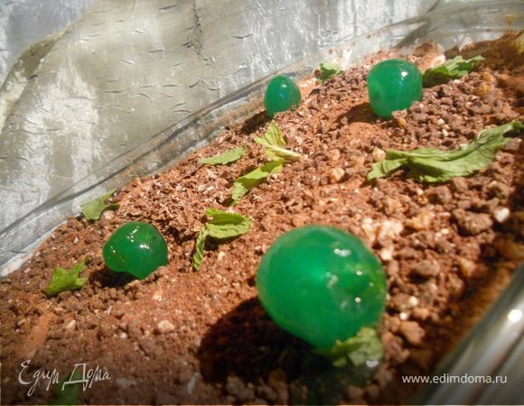 Апельсиново-мятный тирамису