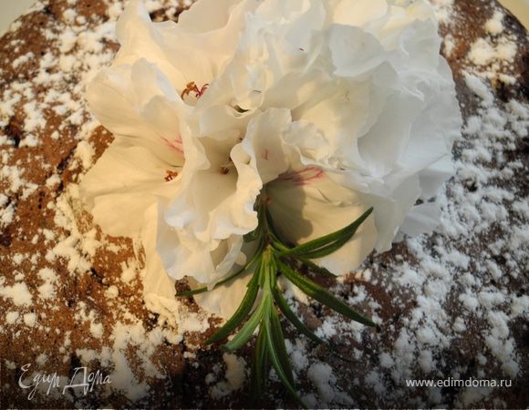 Шоколадная шарлотка с яблоками и пьяной вишней Шоколадная шарлотка с яблоками и пьяной вишней