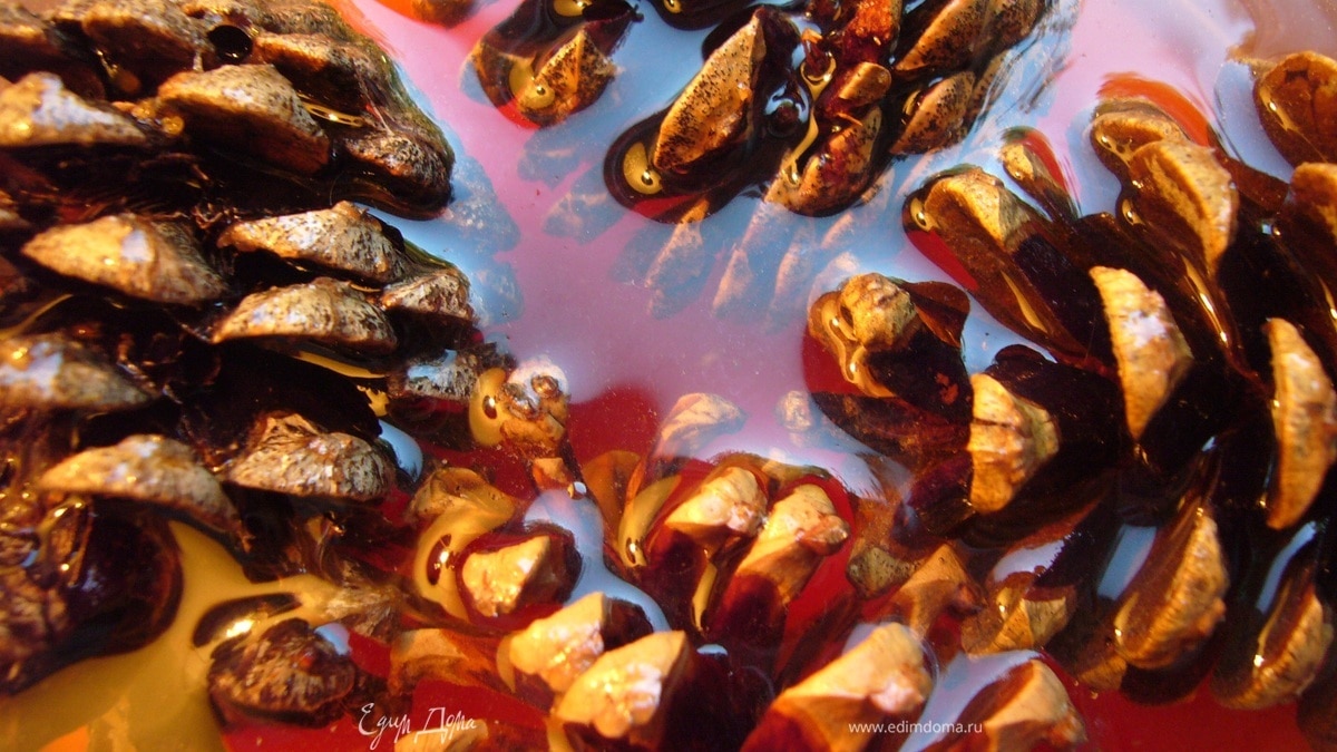 Варенье из шишек