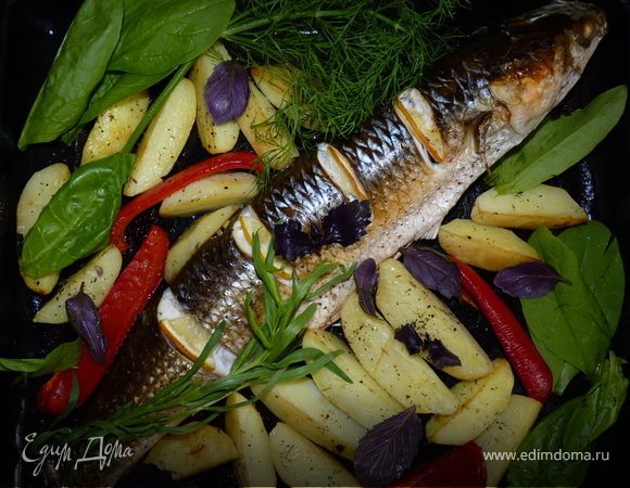 Запечённый пеленгас Запечённый пеленгас