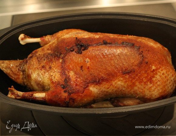 Утка, фаршированная гречкой и потрошками   