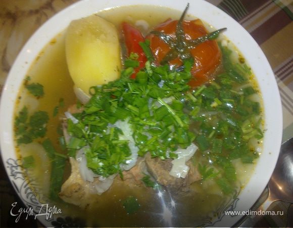 Супчик с телятиной на костре Супчик с телятиной на костре