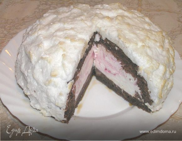 Вишневый торт-мороженое с шоколадным бисквитом (Tescoma)