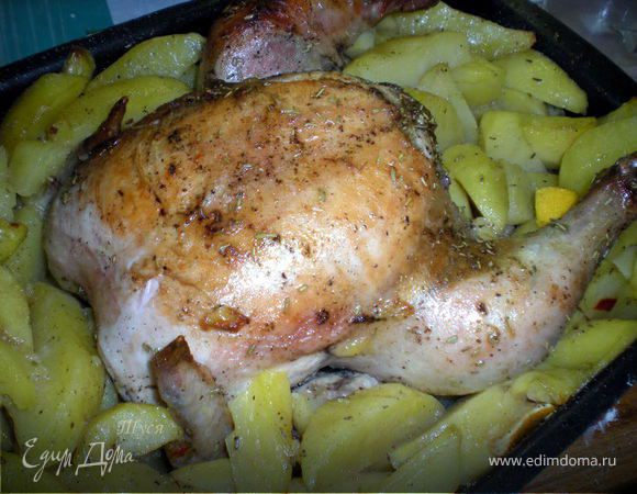 Золотая курочка... Золотая курочка...