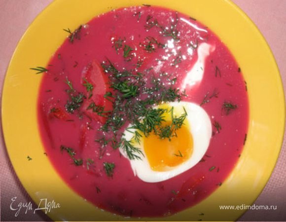 Свекольник "уникальный" Свекольник "уникальный"