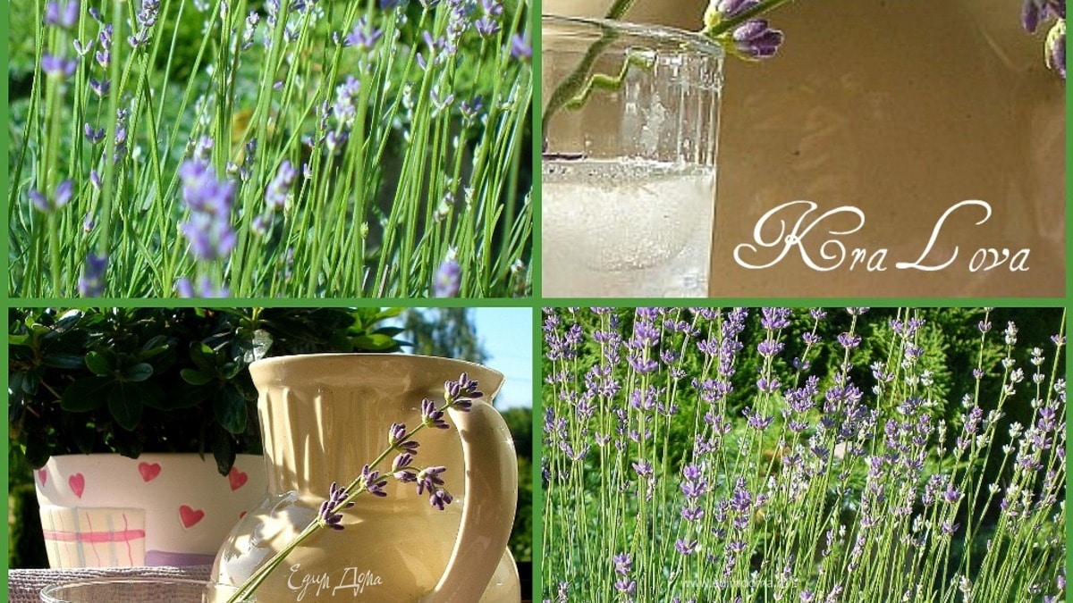 Лимонад с лавандой