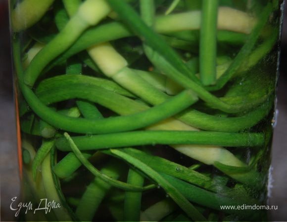 Заготовка чесночных стрелок на зиму Заготовка чесночных стрелок на зиму