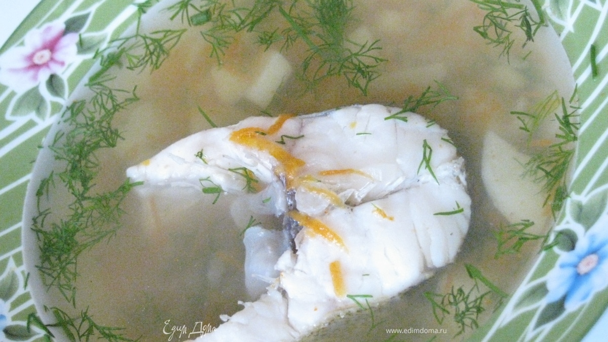 Уха из судака