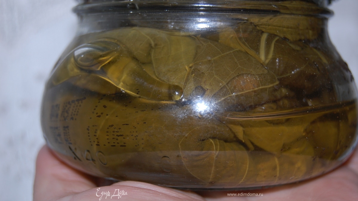 Заготовка виноградных листьев.