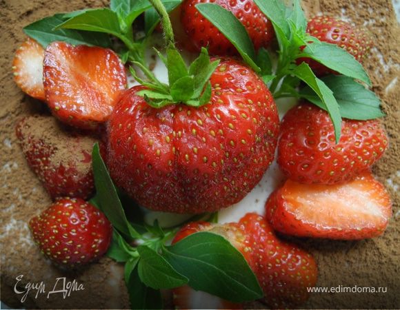 Фантазии на тему "Тирамису" Фантазии на тему "Тирамису"