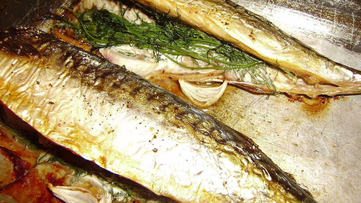 Запеченная скумбрия с укропом...