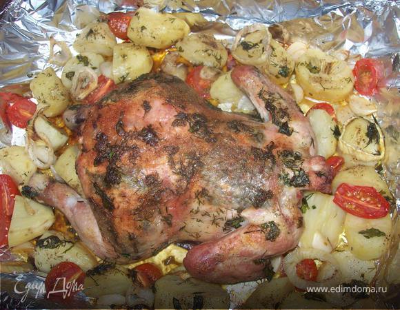 Цыпа с овощами в зеленом масле Цыпа с овощами в зеленом масле