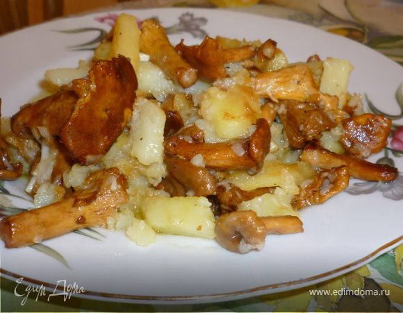 Как приготовить вкусные лисички на сковороде со сметаной и картофельной гарниром
