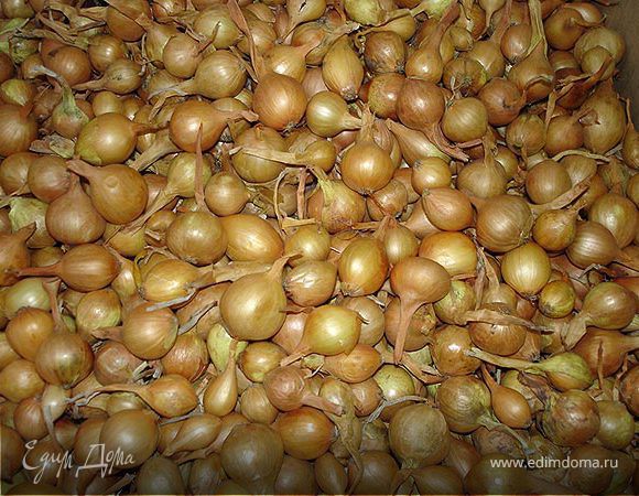 Лук по-лионски