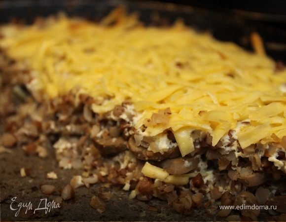 Слоеный гречник