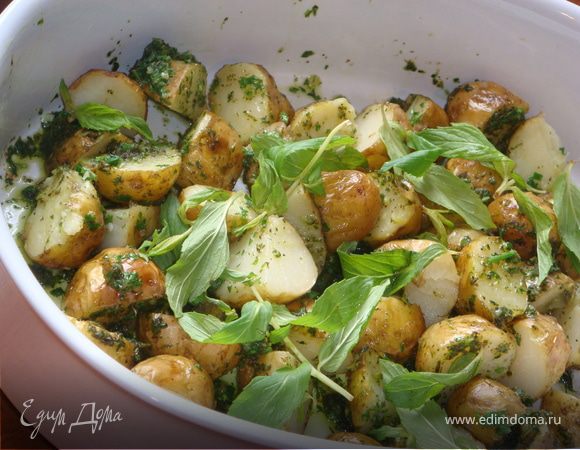 Молодой картофель с соусом из чеснока и мяты. 