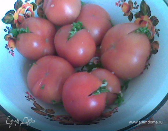 Помидоры бурые (соленые)