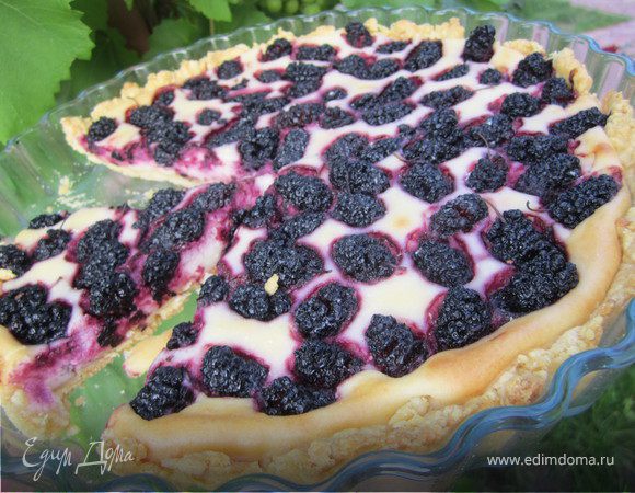Тарт с шелковицей и творожным пудингом.